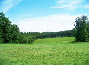 View of driving range